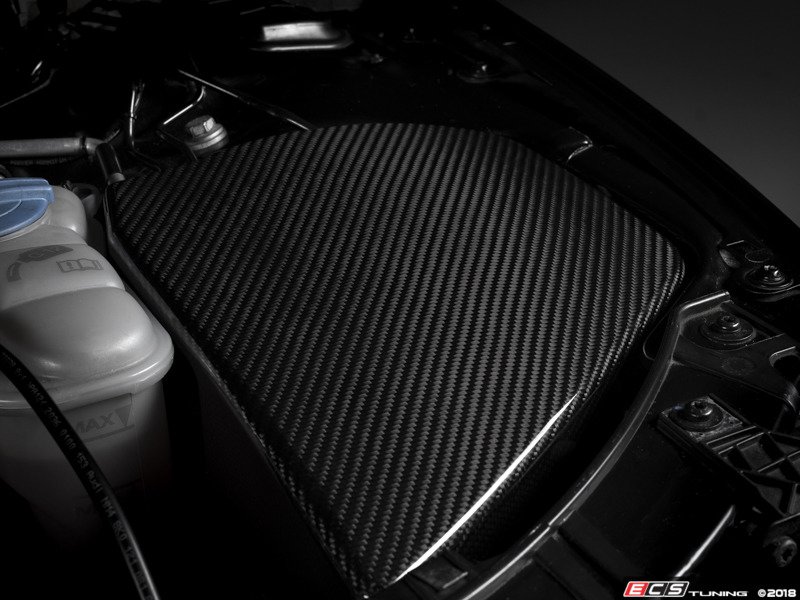 ECS 022738ecs02KT Audi B8/B8.5 A4 Carbon Fiber Left Side Engine Bay