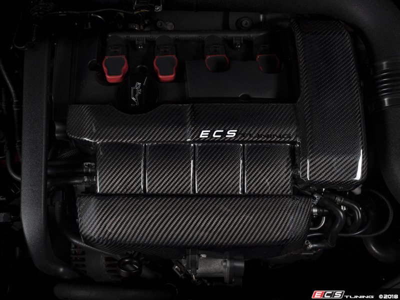 ECS 016308ECS0103 Carbon Fiber Engine Cover Kit