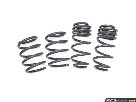 ES#3575785 - 034-404-1006 - Dynamic+ Lowering Springs - Engineered to improve handling and deliver superb ride quality! - 034Motorsport - Audi