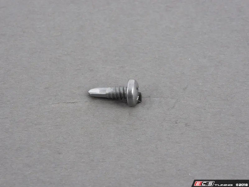 rounded phillips screw