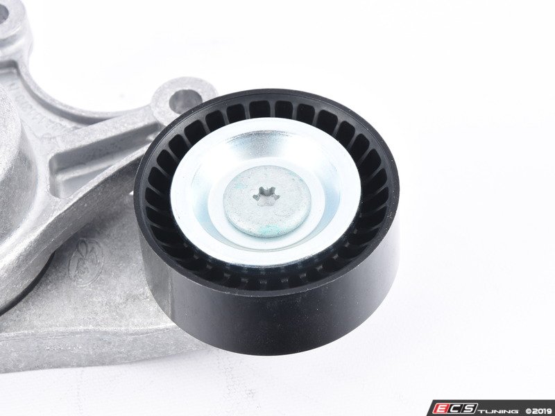 Ina 11287594969 Accessory Belt Tensioner Assembly