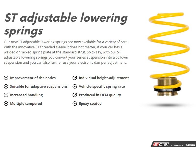 Suspension Techniques 273200CC ST Adjustable Lowering Springs