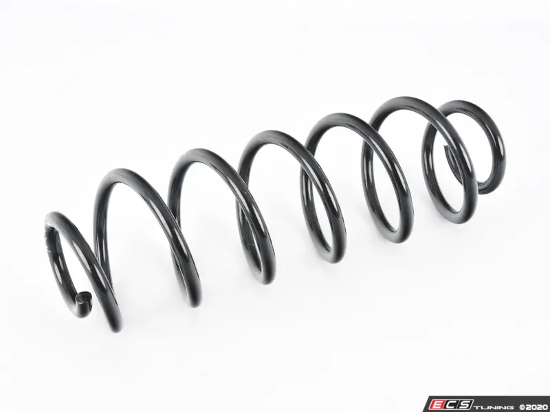 MOOG Moog81069 Rear Coil Springs Pair, 54 OFF