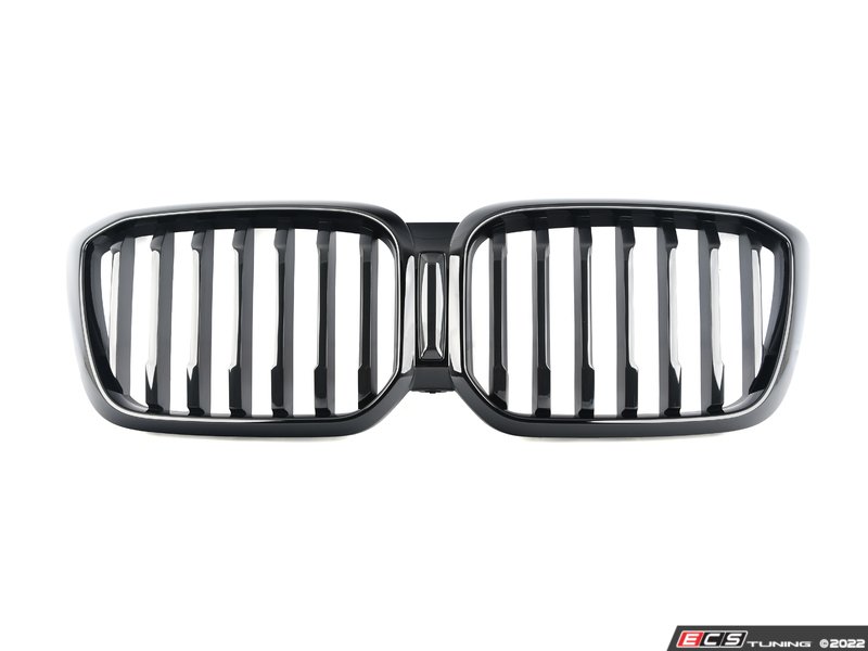 Genuine BMW - 51135A1AC55 - GRILL FRONT (51-13-5-A1A-C55)