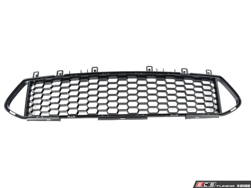 Genuine BMW - 51118097500 - GRILL, BUMPER, CENTER, FRONT (51-11-8-097-500)