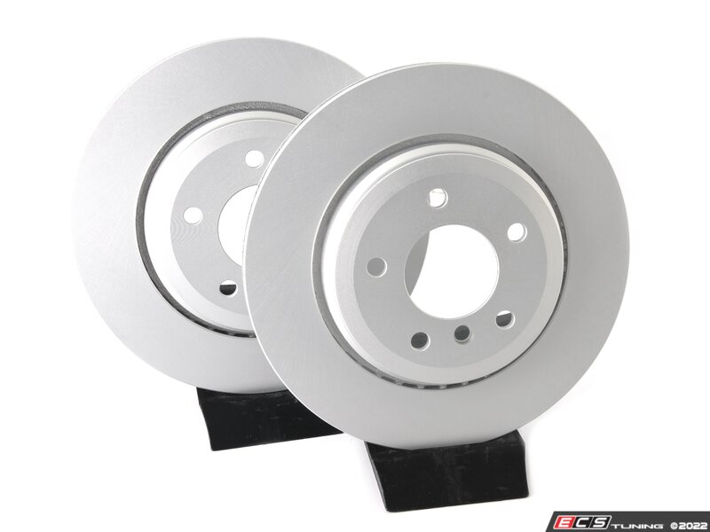 ECS 34216864052P Rear V5 Plain Brake Rotors Set (320x22)