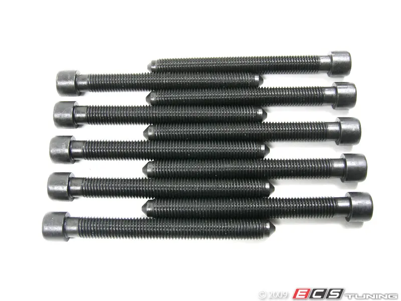Should You REUSE Cylinder Head Bolts? (Torque To Yield