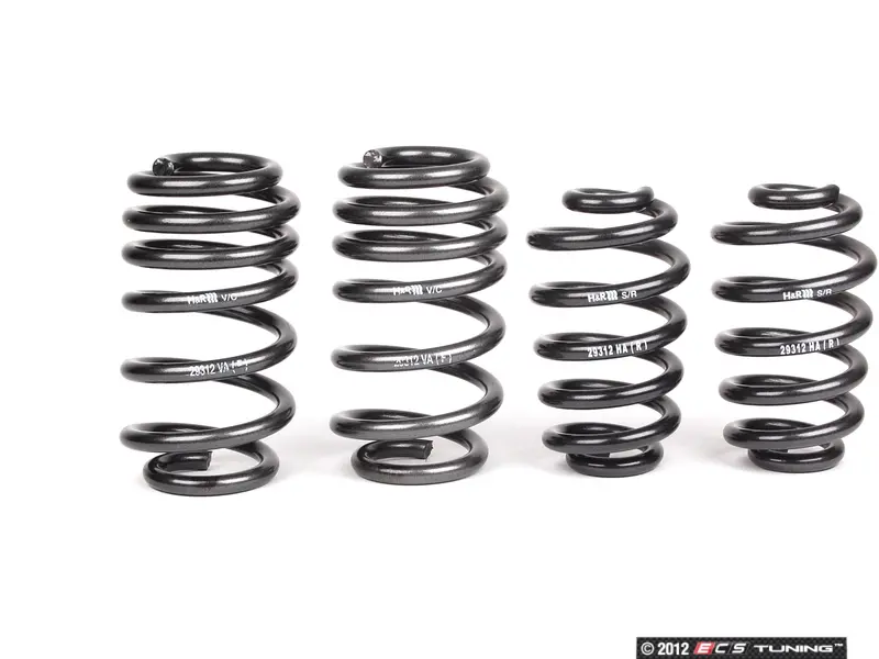 H/&R 29138-1 Lowering Springs