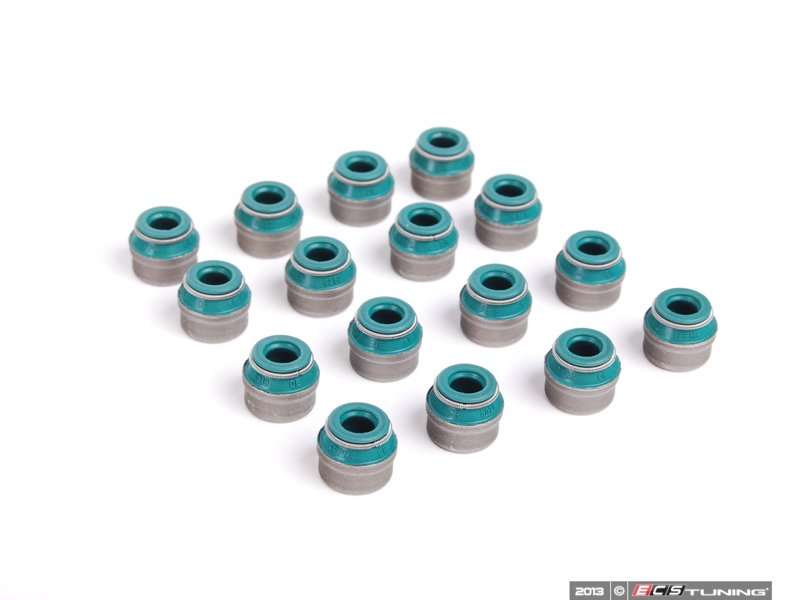 Victor Reinz 11349063193 Valve Stem Seal Repair Kit Set Of 16