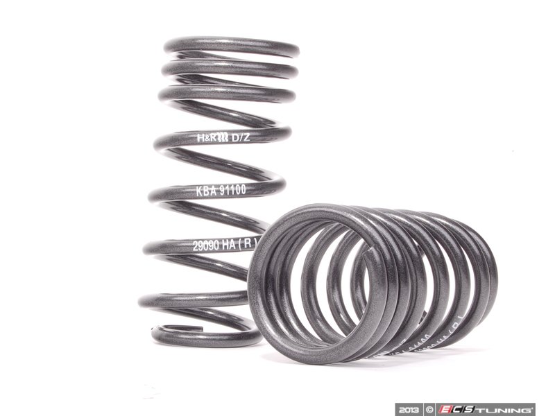 TMS33337RACE - Turner Motorsport-H&R Race Spring Set for Mini Cooper S