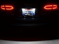 ES#2210294 - B8LPLED - LED License Plate Light Assemblies - Keep your plate illuminated brilliantly with new plate light LED's - ZiZa - Audi