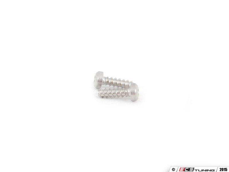ECS 010985ecs01KT License Plate Light Screw Pair