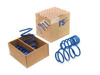 ES#2843610 - NM.558856 - RS-Alpha Spring Set R56/R58 - Lowering springs with a progressive rate - NM Engineering - MINI