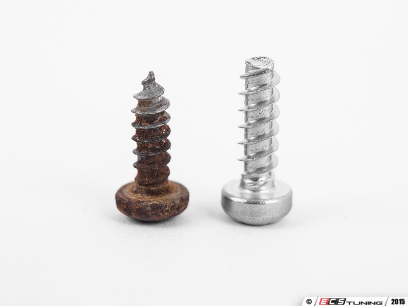 ECS 010985ecs01KT License Plate Light Screw Pair
