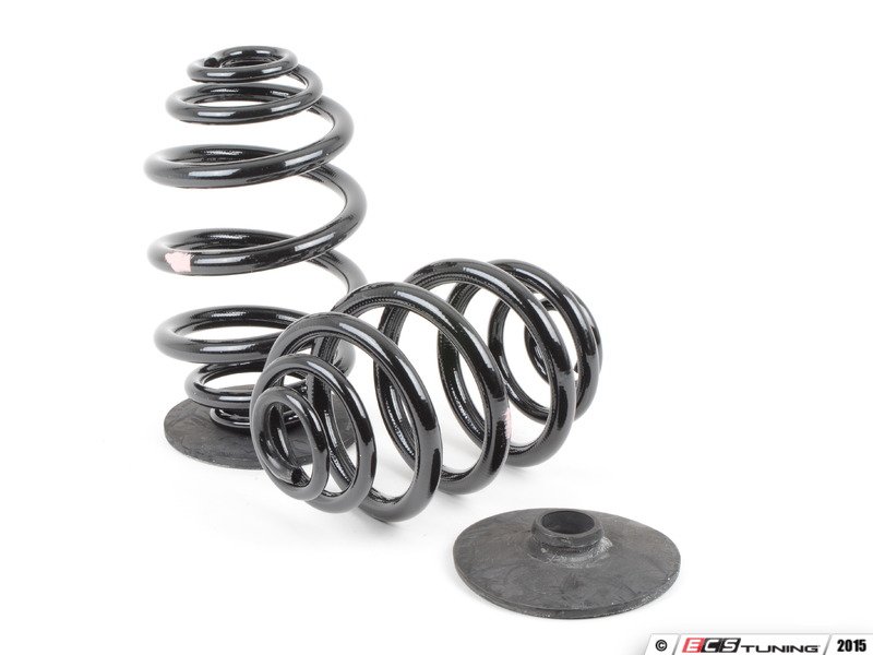 Genuine BMW 33539059277 Rear Coil Springs (33539059277)