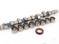 ES#2834686 - 038109101KKT - Camshaft Kit - Includes camshaft, lifters, and camshaft seal - AMC - Volkswagen