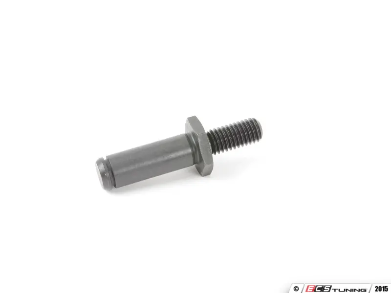 chain tensioner bolt