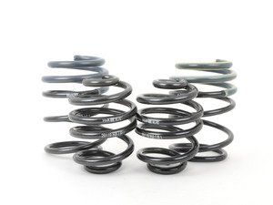 H/&R Springs 51655-88 H/&R Race Springs