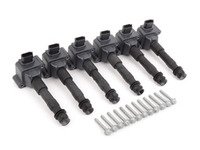 ES#3083524 - 99760210402kt1KT - Ignition Coil Update Kit - Includes updated coils and mounting hardware - Beru - Porsche