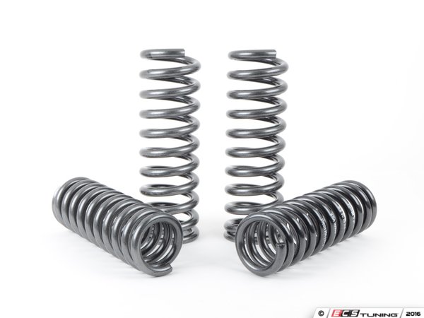 H/&R 53048 Sport Spring