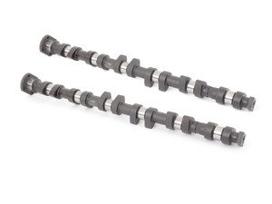 ES#3025683 - TMS3859 - Schrick Camshaft Set - 256/264 Degree - A more aggressive option for street use and an upgrade from stock M3 camshafts - Schrick - BMW
