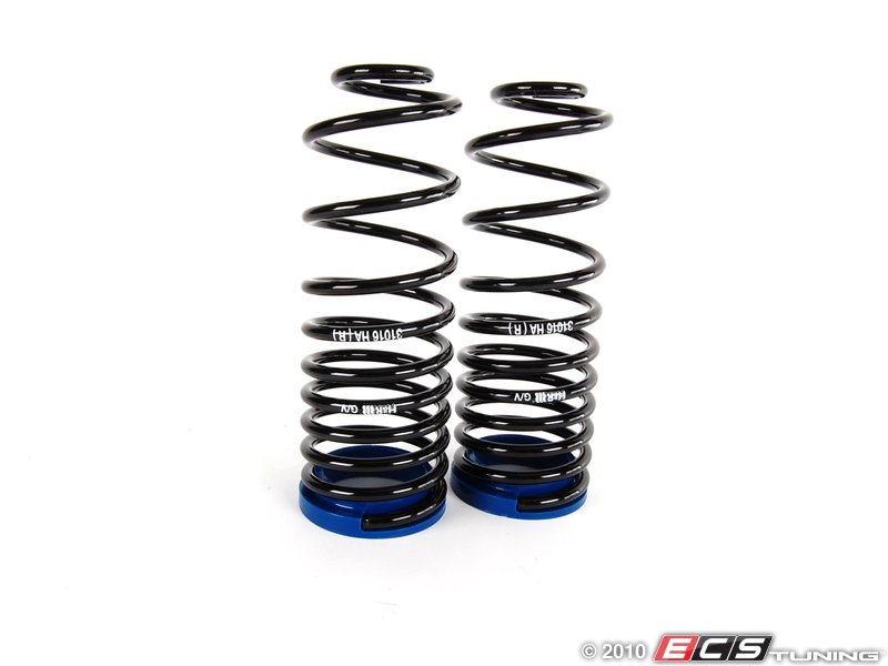 H&R 310163 Sport Cup Suspension Kit