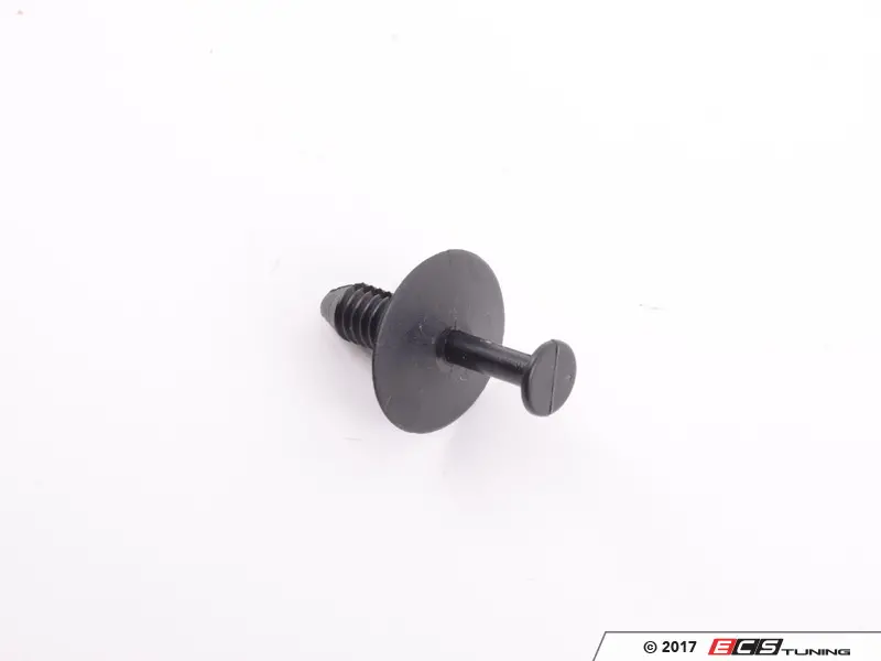 957568_x800.webp