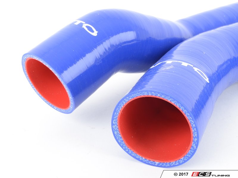 sv40 poly a snapgene sv40 poly a snapgene