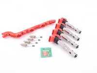 ES#3447932 - 06e905115es6KT - Ignition Service Kit With Coil Pack Wiring Conduit - Includes 4 OE red coil packs, NGK iridium spark plugs (BKR7EIX), and red coil pack conduit - Assembled By ECS - Volkswagen